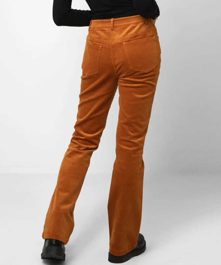 beautiful_bootcut_cords_1.webp Online Joe Browns Beautiful Bootcut Cords Tan / Teal / Black