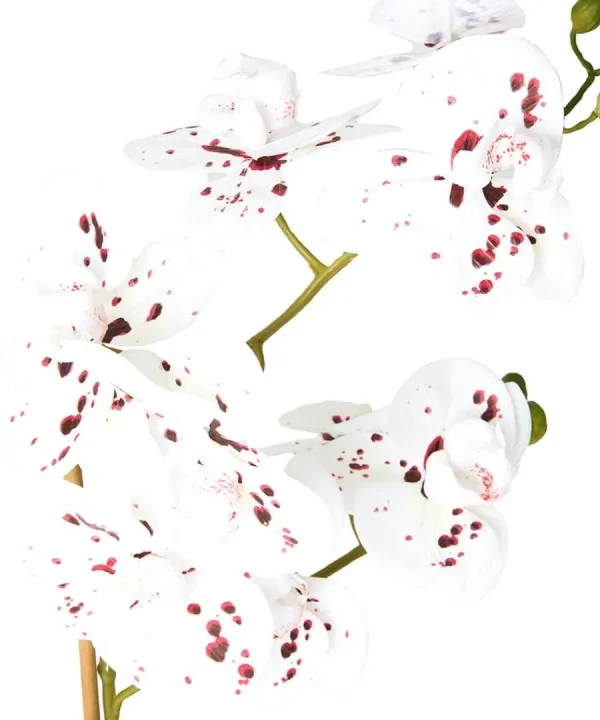 Sale Joe Browns Blooming Marvellous Speckled Orchid White