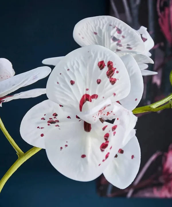 Sale Joe Browns Blooming Marvellous Speckled Orchid White