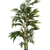 Fashion Joe Browns Brilliant Bamboo Plant Green