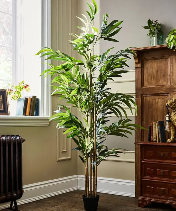 Fashion Joe Browns Brilliant Bamboo Plant Green