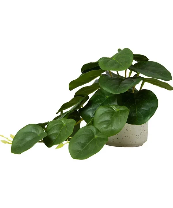 Fashion Joe Browns Luscious ery In Speckled Ceramic Pots Green