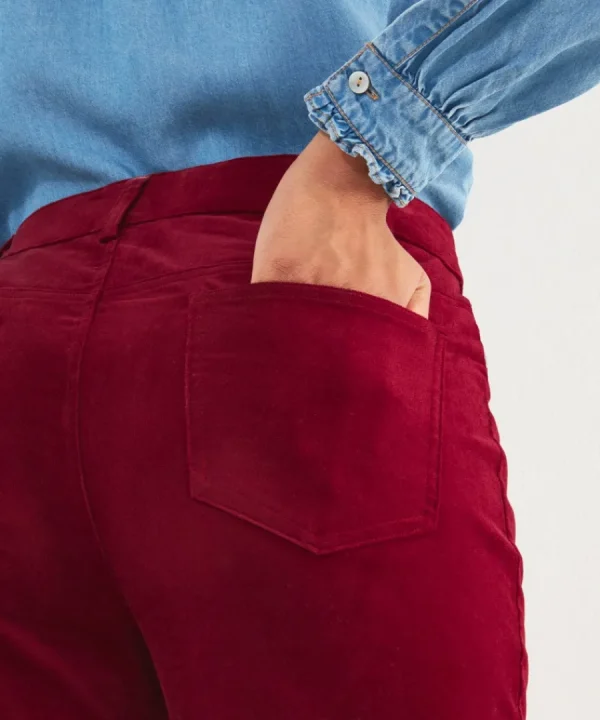 Fashion Joe Browns Must Have Moleskin Trousers Berry / Teal