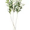 Sale Joe Browns Oh So Lovely Olive Branches (Pack Of 3) Green