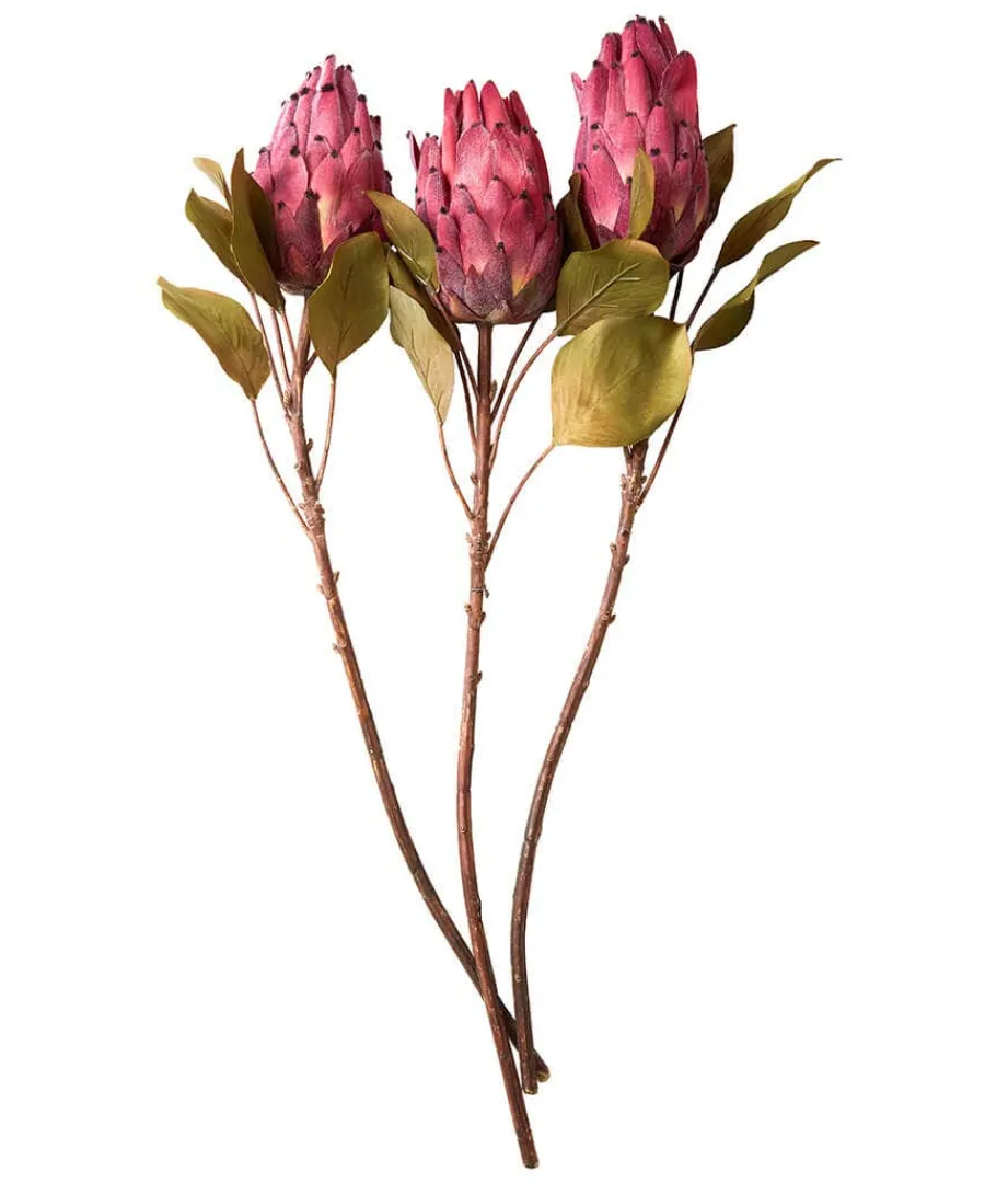 pack_of__pretty_protea_fl_0.webp Outlet Joe Browns Pack Of 3 Pretty Protea Flower Stems Pink
