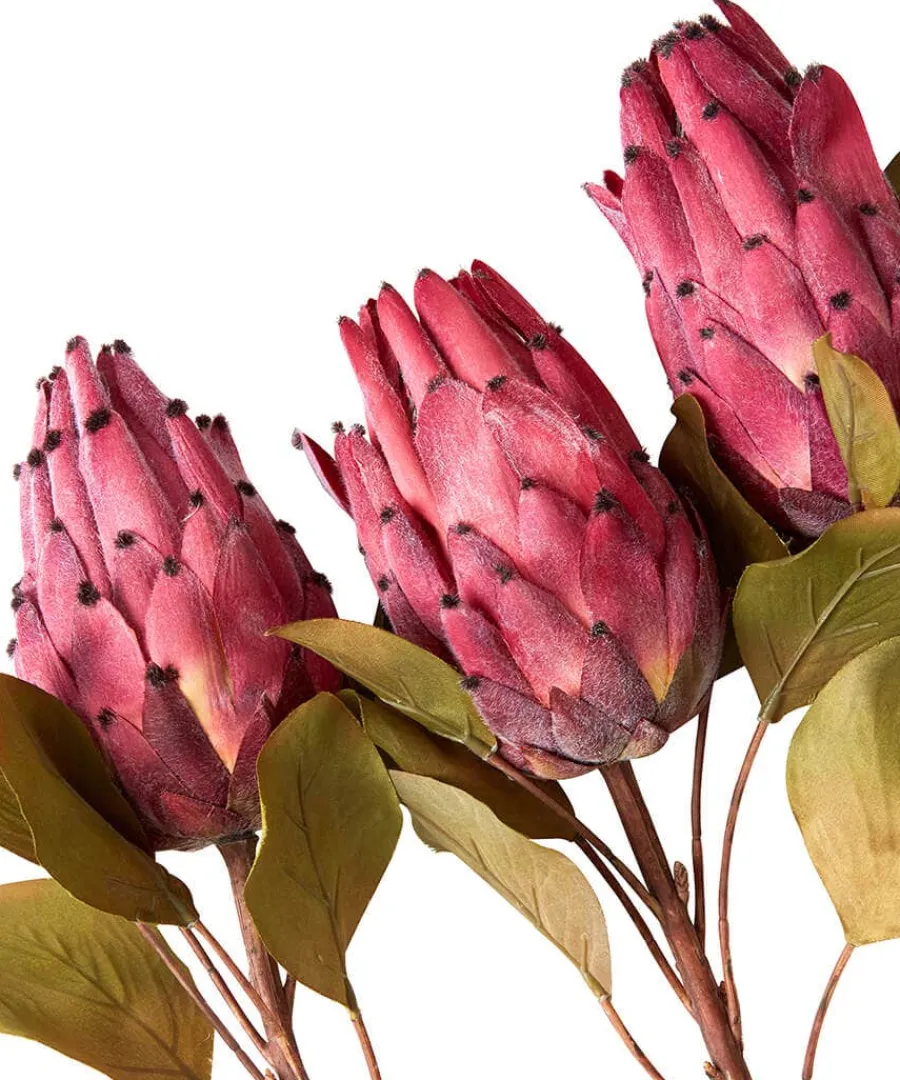 pack_of__pretty_protea_fl_1.webp Outlet Joe Browns Pack Of 3 Pretty Protea Flower Stems Pink