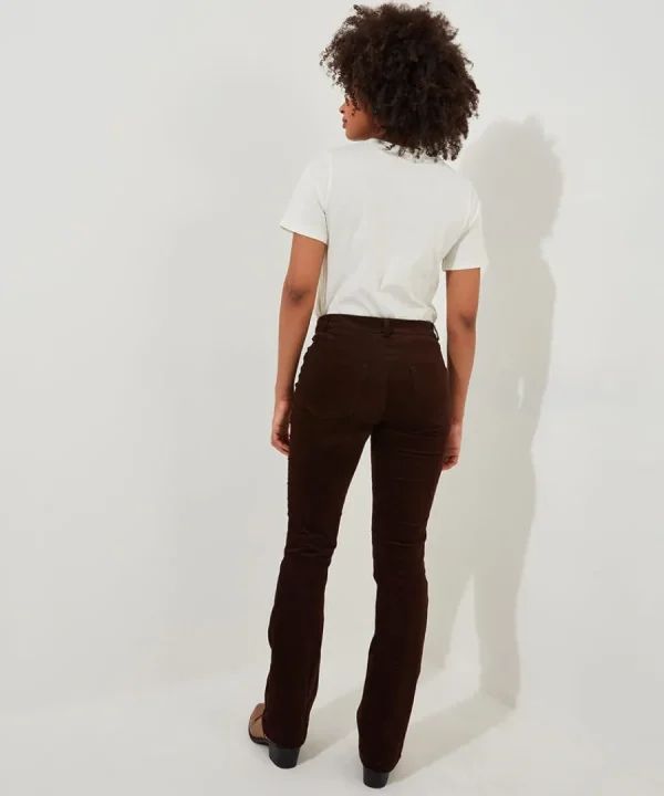 Shop Joe Browns Perfect Moleskin Trousers Chocolate