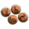 Fashion Joe Browns Set Of 4 Heritage Hare Coasters Natural