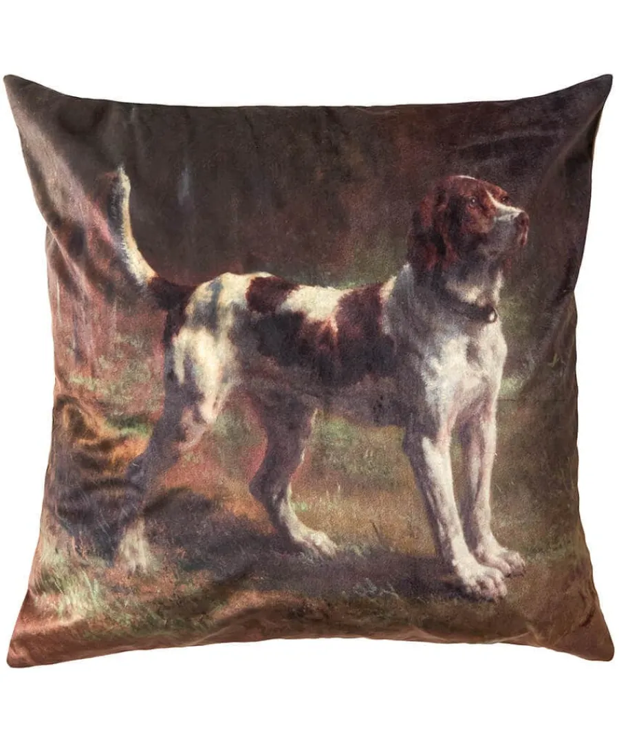 striking_spaniel_velvet_c_0.webp Hot Joe Browns Striking Spaniel Velvet Cushion Brown
