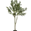 Sale Joe Browns The Tree Of Life Olive Tree Green
