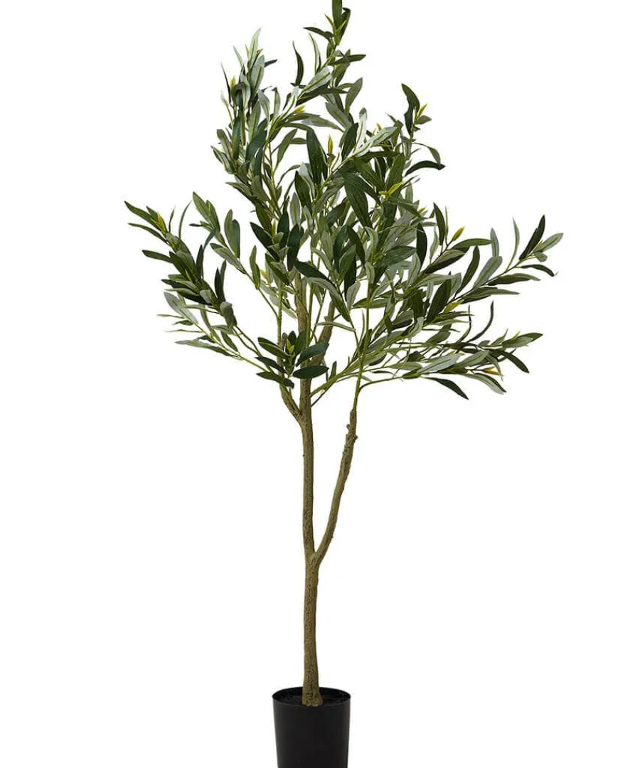 the_tree_of_life_olive_tr_0.webp Sale Joe Browns The Tree Of Life Olive Tree Green