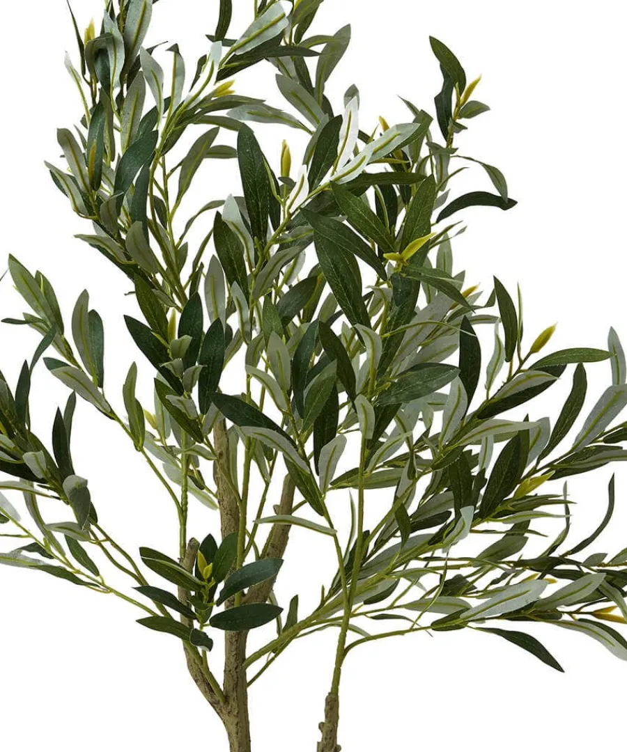 the_tree_of_life_olive_tr_1.webp Sale Joe Browns The Tree Of Life Olive Tree Green
