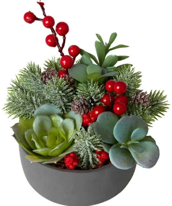 Cheap Joe Browns Tis The Season Succulent Red