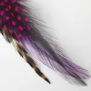 Flash Sale Joe Browns Vibrant Feather Pin Multi