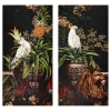 Best Sale Joe Browns Totally Tropical Canvas Multi